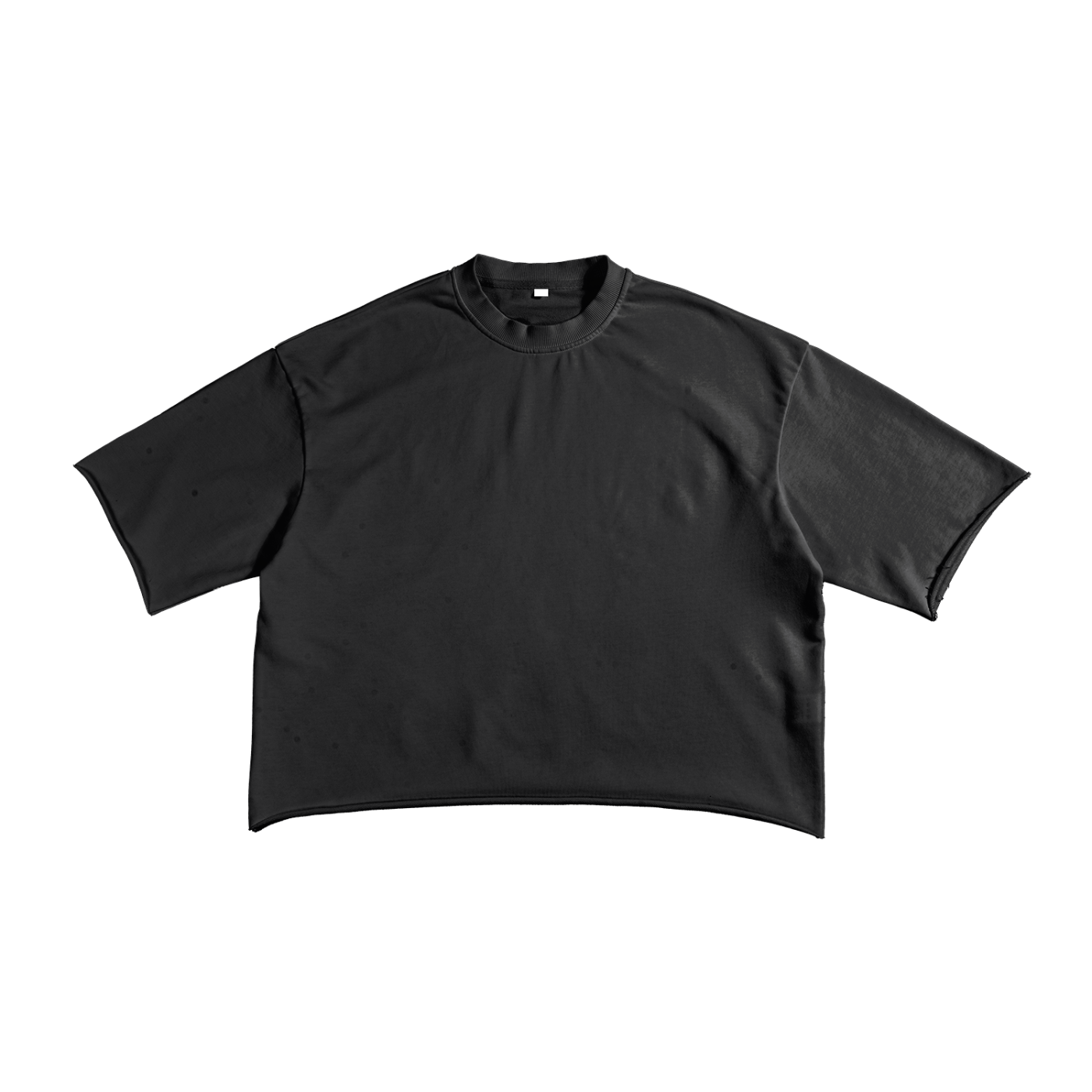 VY Raw Edge Crop Tee